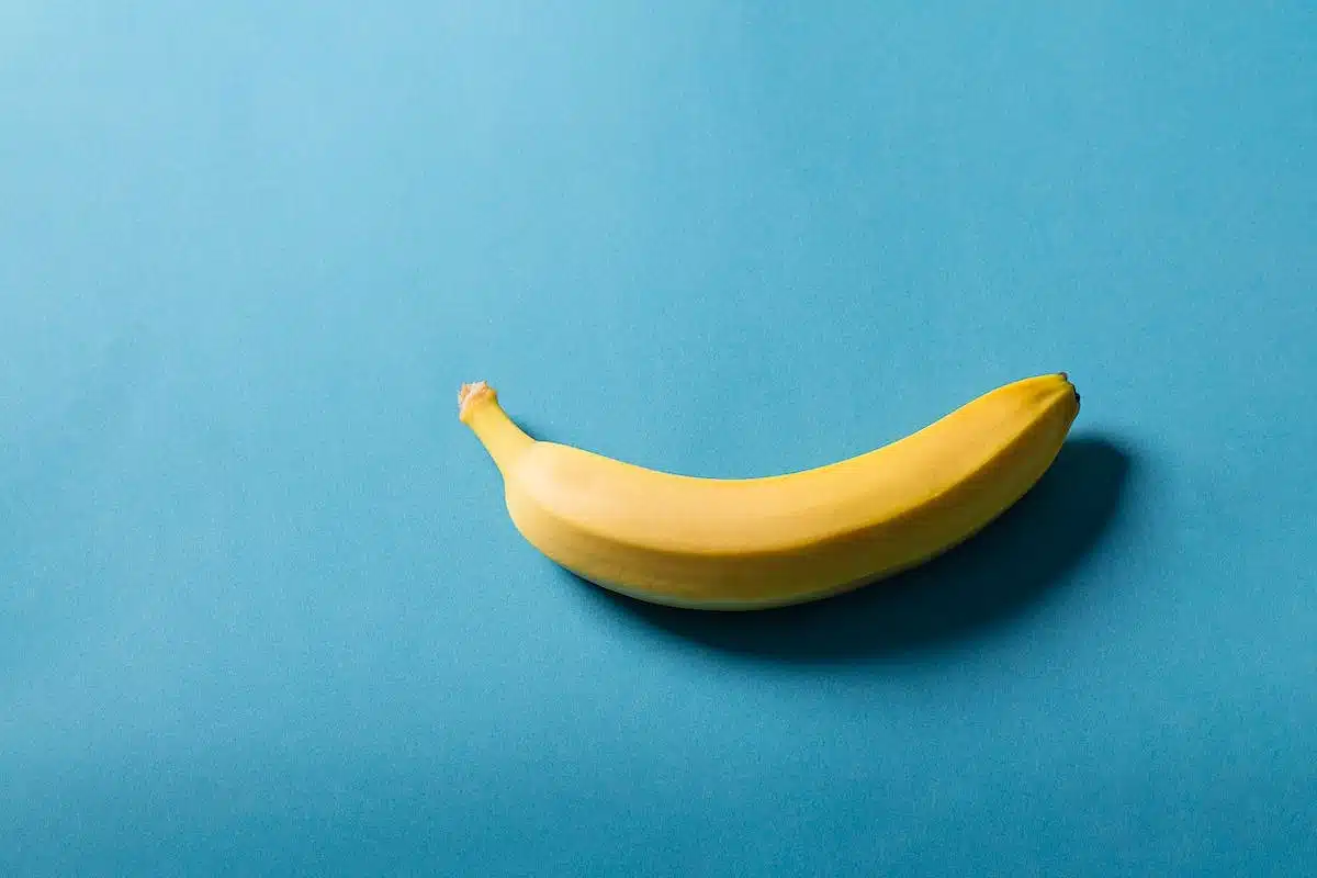 morphologie vêtements