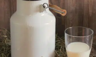 Pourquoi utiliser le lait d'ânesse