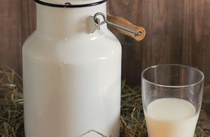 Pourquoi utiliser le lait d'ânesse