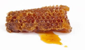 Bienfaits et contre-indications de la propolis Bienfaits et contre-indications de la propolis