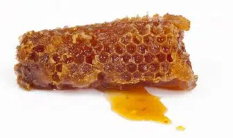 Bienfaits et contre-indications de la propolis