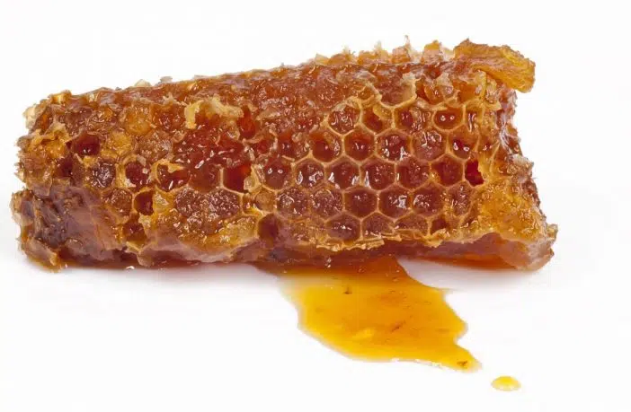 Bienfaits et contre-indications de la propolis