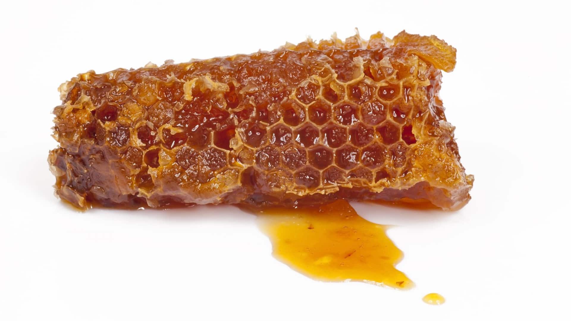 Bienfaits et contre-indications de la propolis