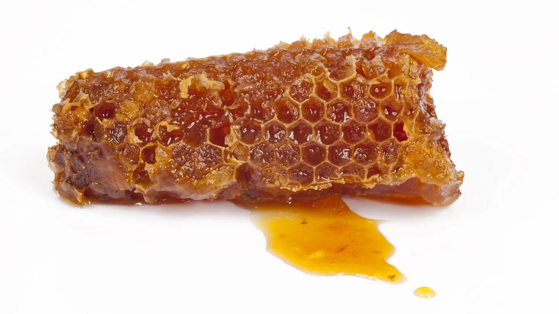 Bienfaits et contre-indications de la propolis