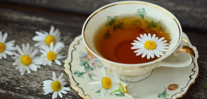 Perdre du poids : le thé naturel slim tea est efficace