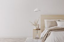 Punaises de lit : un danger caché pour votre santé et votre beauté