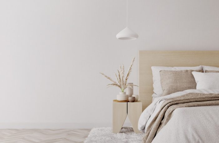 Punaises de lit : un danger caché pour votre santé et votre beauté