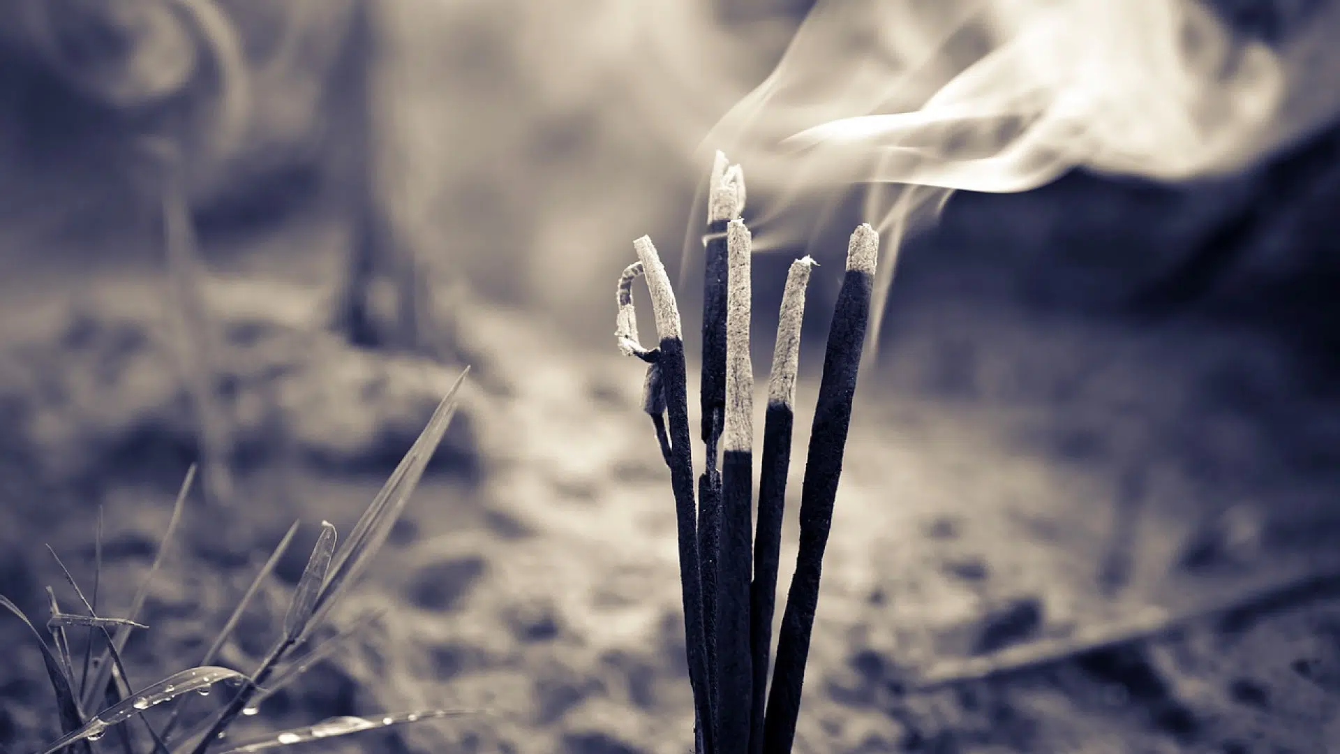 Quel encens brûler à la maison ?